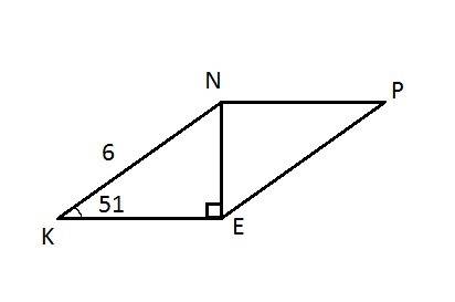 Дан параллелограмм knpe , ne - диагональ , ne перпендикулярна ke , kn=6 см , угол k=51 градус. найти