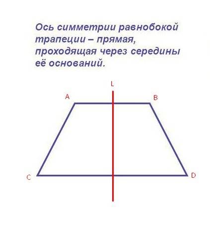 Чотирикутник яркий має одну вісь симетрії