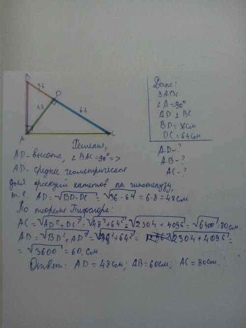 Впрямоугольном треугольнике abc,a=90 градусов,ad-высота,bd=36 см,dc=64 см.найдите ad.ab.ac