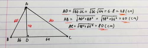 Впрямоугольном треугольнике abc,a=90 градусов,ad-высота,bd=36 см,dc=64 см.найдите ad.ab.ac