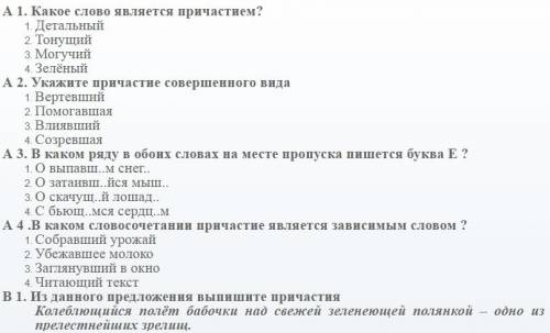 Сделайте мини тест на тему причастие причастный оборот и всё что связано с причастием. 10 вопросов