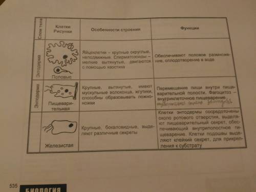 Определите значение различных типов клеток гидры с указанием слоя, в котором они находятся. 30