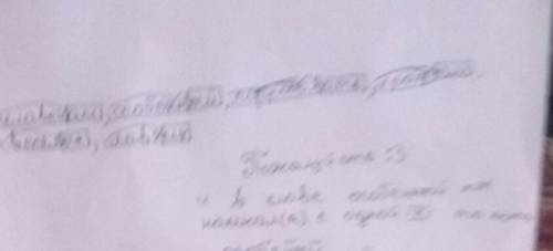 Сделать разбор предложения по составу любил цирк, его особеный запах весёлых, храбрых, ловких, трудо