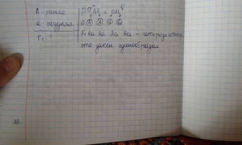 Уячменя ранняя спелость доминирует над поздней спелостью.определите форму расщепления гибридов f1 у