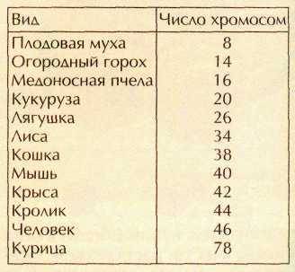 Кто может написать,по списку у кого и сколько хромосом