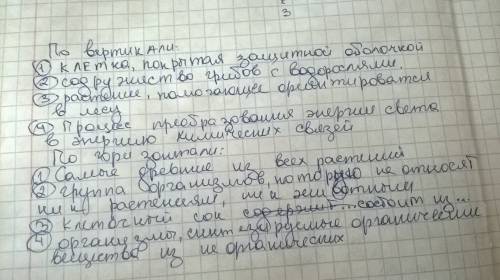 Кроссворд на тему грибы лишайники водоросли и споровые растения с ответами 5 класс