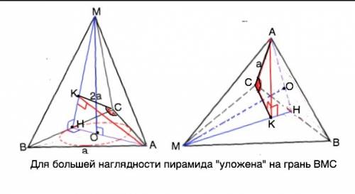 Вправильной треугольной пирамиде mabc сторона основания равна a, а высота 2a. найдите угол между сто