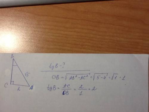 Решить. ! в треугольнике abc угол c равен 90°. ac = 2, ab = √5. найдите tgb.