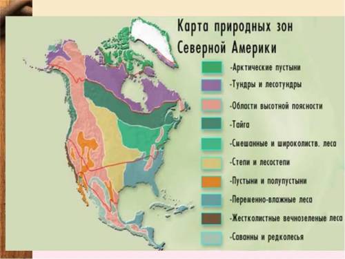 20 .в чем особенность размещения природных зон на материале северная америка?