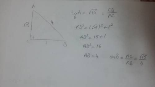 Втреугольнике abc угол c равен 90 градусов,tga=2 корня из 6. найдите sinb. 8 класс, напишите ещё фор