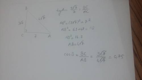 Втреугольнике abc угол c равен 90 градусов, tga=(3 корня из 7) поделить на 7 . найдите cosb. 8 класс