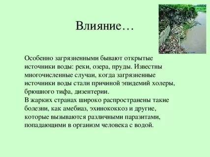 Как растения в водоемах влияют на здоровье человека?