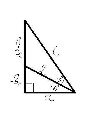 Один из острых углов прямоугольного треугольника равен 60° . из этого угла выходит биссектриса равна
