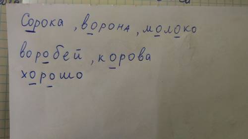 Нужно подчеркнуть буквы,написание которых нужно запомнить. пальто, сорока, ворона, деревня, берёза,