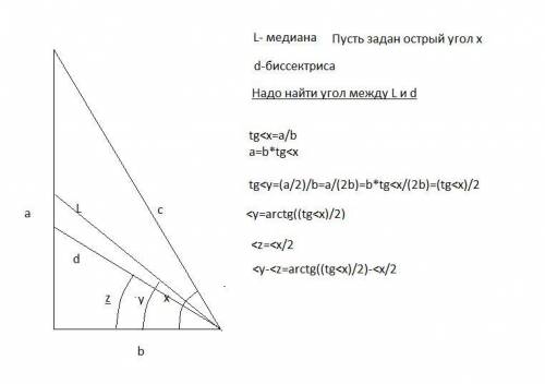 Впрямоугольном треугольнике из вершины острого угла, равного а, проведены медиана и биссектриса. най