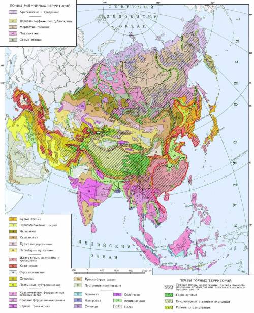 Почвы в муссонных (переменно-влажных лесах) в евразии