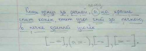 Берите по членам предложения предложения конь уснул за речкой а на крыше спит конек угол спит за печ