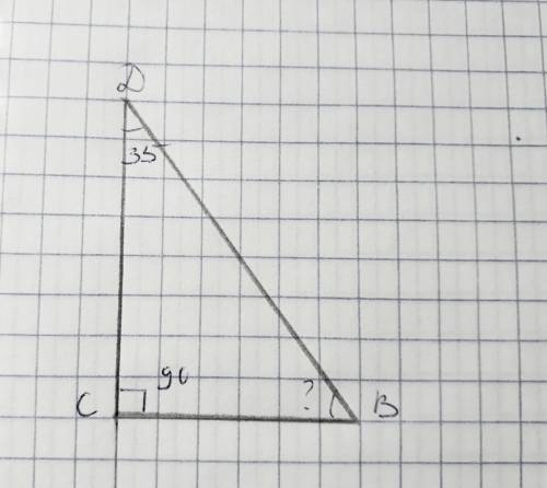 Втреугольнике bcd угол c равен 90°,угол d равен 35° вычислите градусную меру угла b (, 5 класс)