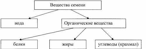 Определение веществ входящих в состав семени. !