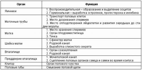 Таблица по половым органам отдел \орган \строение \функции.