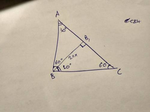 Решить : в треугольнике авс , угол с = 60 ° , угол в = 90° . высота вв1 = 2 см . найдите ав