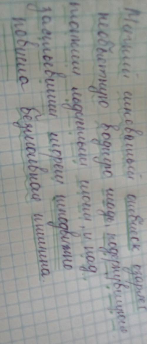 Мягкий синеватый отблеск озаряет необъятную водную гладь, подернувшуюся тонким льдистым слоем, и над