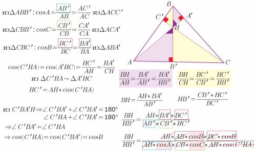 Втреугольнике abc (для простоты давайте будем считать его остроугольным) проведены высоты aa', bb',