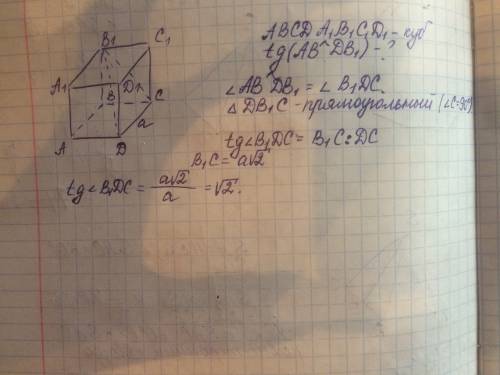 Вкубе abcda1b1c1d1 найдите тангенс угла между прямыми ab и db1