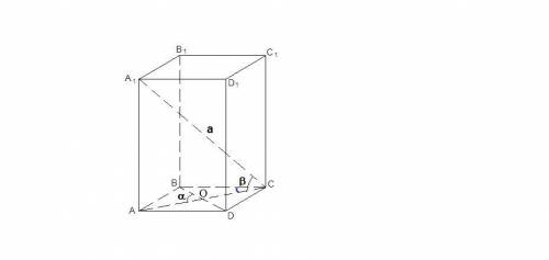Упрямокутному паралелепіпеді діагональ дорівнює а і нахилена до площини основи під кутом b(бета). ку