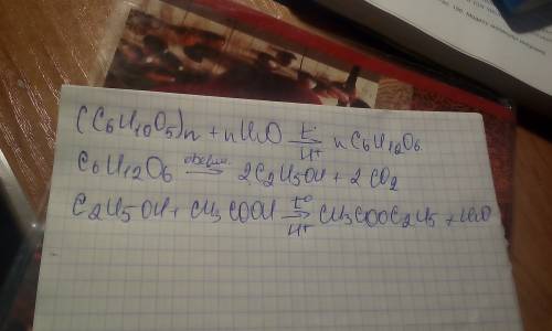 Осуществить следующие превращения (с6н10о5)n → с6н12o6 → с2н5он → → сн3соос2н5