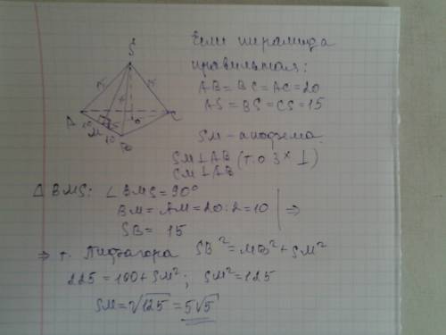Найдите апофему треугольной пирамиды, если боковое ребро этой пирамиды 15 см и ребро основания 20 см