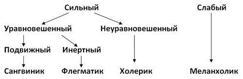 Какой тип высшей нервной деятельности характерен для темперамента сангвиника и флегматика ?