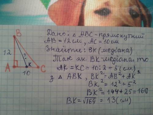 Катети прямокутного трикутника дорівнюють 12 см і 10 см. знайдіть довжину медіани, проведеної до мен