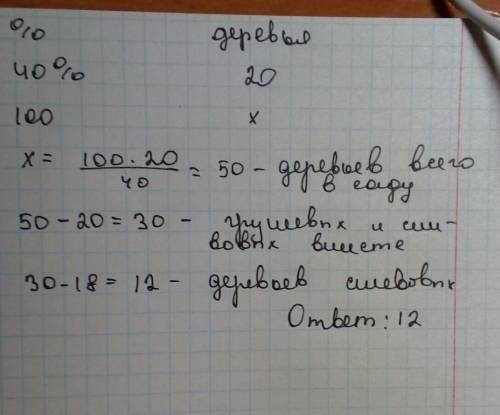 Всаду 20 яблонь что составляет 40 % всех деревьев 18 грушевых и остальные сливовые . сколько сливовы