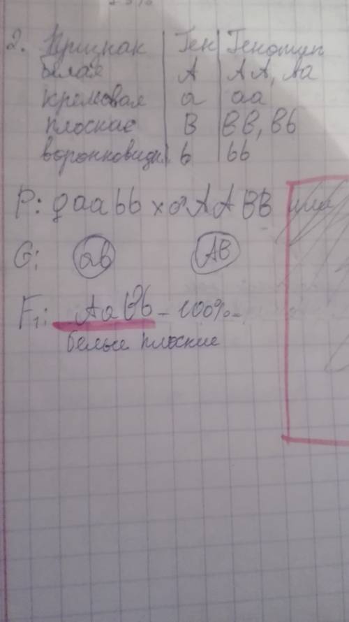 1. у дурмана пурпурная окраска цветка доминантна по отношению к белой. скрещивали растение дурмана с