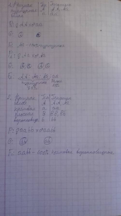 1. у дурмана пурпурная окраска цветка доминантна по отношению к белой. скрещивали растение дурмана с