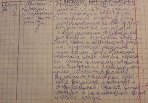 Отряд чешуйчатые,отряд черепахи,отряд крокодилы. характеристика отрядов,особенности каждого отряда.