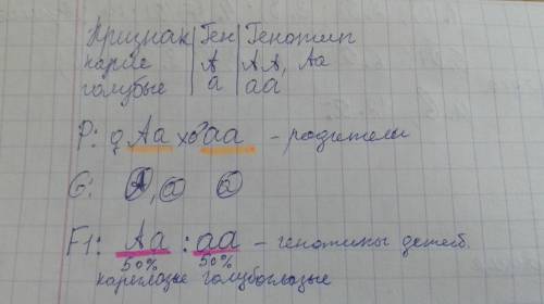 Учеловека кареглазость - доминантный признак. в семье из 5 человек у отца и двух дочерей глаза голуб