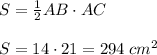 S = \frac{1}{2}AB\cdot AC\\\\S = 14\cdot 21 = 294 \;cm^2