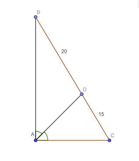 Биссектриса прямого угла прямоугольного треугольника делит гипотенузу на отрезки 15 см и 20 см. найд