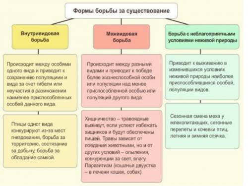 Виды взаимодействия которые существуют между особями одной популяции а)межвидовая борьба за существо