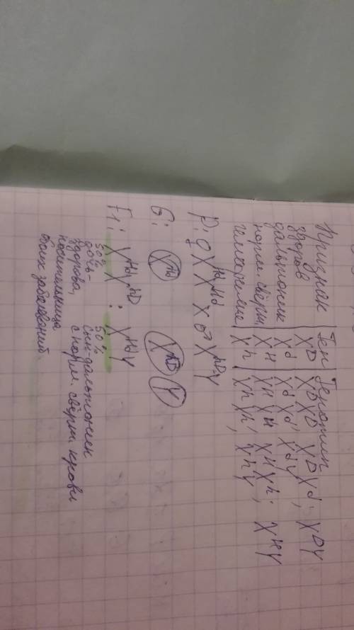 Решить , у людини рецесивні гени дальтонізму та гемофілії локалізовані в х-хромосомі. які діти народ