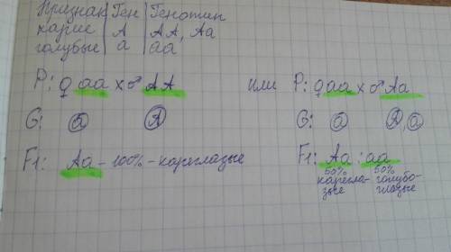 Кареглазый мужчина женится на голубоглазой женщине у них 8 детей. каковы будут генотипы членов этой