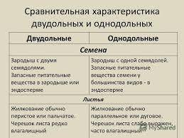 Чем отличается зародыш двудольных от однодольных