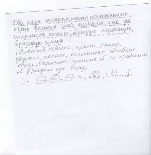 50 ! разберите предложение(синтаксис) с главным и придаточным: два ряда старых, тесно посаженных, вы