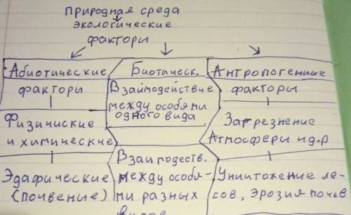 Распределите по три группы: 1)факторы живой природы; 2)факторы неживой природы; 3)влияние человека