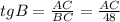 tgB= \frac{AC}{BC}= \frac{AC}{48}