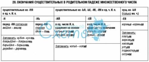 Правописание существительных в родительном падеже множественого числа определение примеры