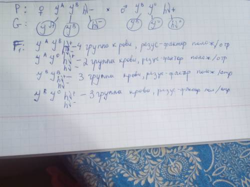 Если мать имеет 4 отрицательную, а отец 3 положительную, может ли у такой поры родиться ребёнок 2 от