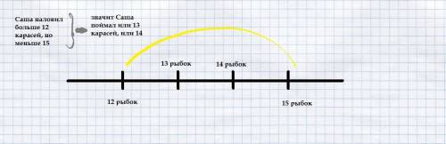 Саша наловил карасей . карасей больше 12, но меньше 15. сколько карасей мог поймать саша?